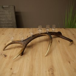 Lot de 6 petits verres à schnaps avec pied, présentés sur un support en bois de cerf rouge - Cadeau 27.60.2.74