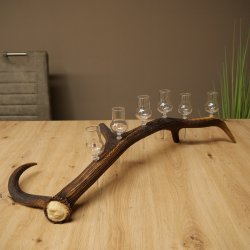Lot de 6 petits verres à schnaps avec pied, présentés sur un support en bois de cerf rouge - Cadeau 27.60.2.74
