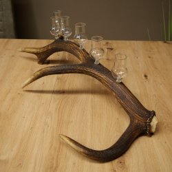 Lot de 6 petits verres à schnaps avec pied, présentés sur un support en bois de cerf rouge - Cadeau 27.60.2.74