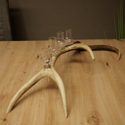 Fournisseur de schnaps : lot de 4 petits verres à pied présentés sur un support en bois de cerf rouge - Cadeau 27.60.2.75