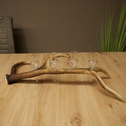 Fournisseur de schnaps : lot de 4 petits verres à pied présentés sur un support en bois de cerf rouge - Cadeau 27.60.2.75