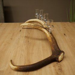 Fournisseur de schnaps : lot de 4 petits verres à pied présentés sur un support en bois de cerf rouge - Cadeau 27.60.2.75