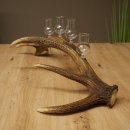 Schnapsset: 4 kleine glazen met steel, gepresenteerd op een stang van rood hert – cadeau 27.60.2.76