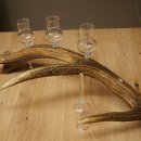 Schnapsset: 4 kleine glazen met steel, gepresenteerd op een stang van rood hert – cadeau 27.60.2.76