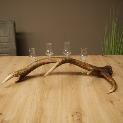 Schnapsset: 4 kleine glazen met steel, gepresenteerd op een stang van rood hert – cadeau 27.60.2.76