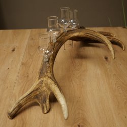 Schnapsset: 4 kleine glazen met steel, gepresenteerd op een stang van rood hert – cadeau 27.60.2.76