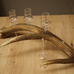 Schnapsset: 4 kleine glazen met steel, gepresenteerd op een stang van rood hert – cadeau 27.60.2.76