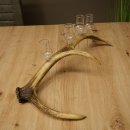 Fournisseur dalcool : lot de 4 petits verres à...