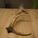Set da liquore: 4 bicchierini con stelo su un corno di cervo rosso - Regalo 27.60.2.77