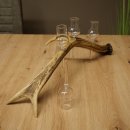 Set da liquore: 4 bicchierini con stelo su un corno di cervo rosso - Regalo 27.60.2.77