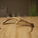 Fournisseur de schnaps : lot de 4 petits verres à...