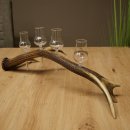 Set da liquore: 4 bicchierini con stelo su un corno di cervo rosso - Regalo 27.60.2.78
