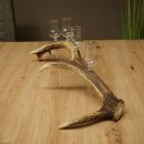Set da liquore: 4 bicchierini con stelo su un corno di cervo rosso - Regalo 27.60.2.78