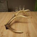Fournisseur dalcool : lot de 4 petits verres à...