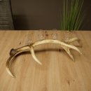 Fournisseur dalcool : lot de 4 petits verres à...