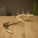 Set da liquore: 4 bicchierini con stelo su un corno di cervo rosso - Regalo 27.60.2.79