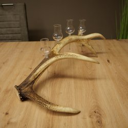 Set da liquore: 4 bicchierini con stelo su un corno di cervo rosso - Regalo 27.60.2.79