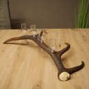 Fournisseur de schnaps : lot de 4 petits verres à...