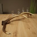 Fournisseur de schnaps : lot de 4 petits verres à...
