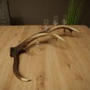 Set da liquore: 4 bicchierini con stelo su un corno di cervo rosso - Regalo 27.60.2.81