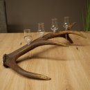 Fournisseur de schnaps : lot de 4 petits verres à...