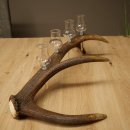 Set da liquore: 4 bicchierini con stelo su un corno di cervo rosso - Regalo 27.60.2.82
