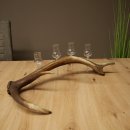 Set da liquore: 4 bicchierini con stelo su un corno di cervo rosso - Regalo 27.60.2.83