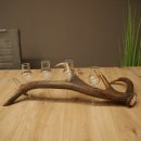 Set da liquore: 4 bicchierini con stelo su un corno di cervo rosso - Regalo 27.60.2.83