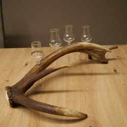 Set da liquore: 4 bicchierini con stelo su un corno di cervo rosso - Regalo 27.60.2.83