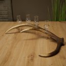 Fournisseur de schnaps : lot de 4 petits verres à...