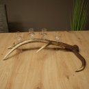 Fournisseur de schnaps : lot de 4 petits verres à...