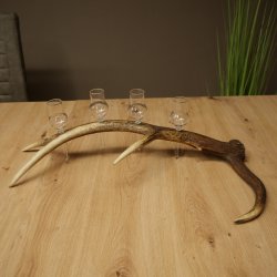 Set da liquore: 4 bicchierini con stelo su un corno di cervo rosso - Regalo 27.60.2.85