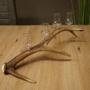 Fournisseur de schnaps : lot de 4 petits verres à...