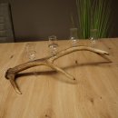Fournisseur de schnaps : lot de 4 petits verres à...