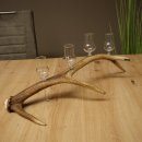 Set da liquore: 4 bicchierini con stelo su un corno di cervo rosso - Regalo 27.60.2.86
