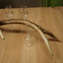 Set da liquore: 4 bicchierini con stelo su un corno di cervo rosso - Regalo 27.60.2.87