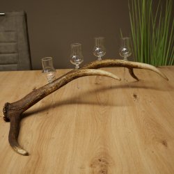 Set da liquore: 4 bicchierini con stelo su un corno di cervo rosso - Regalo 27.60.2.87