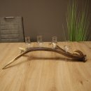 Schnapsanbieter 4 x kleine Gläser Steckglas mit...