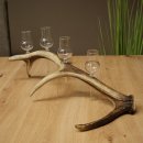 Schnapsanbieter 4 x kleine Gläser Steckglas mit...
