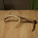 Schnapsanbieter 4 x kleine Gläser Steckglas mit...