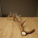 Schnapsanbieter 6 x kleine Gläser Steckglas mit Stiel auf Rothirschstange Geschenk 27.60.2.90