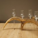 Schnapsanbieter 6 x kleine Gläser Steckglas mit Stiel auf Rothirschstange Geschenk 27.60.2.90