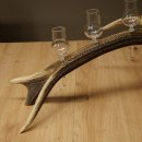 Schnapsanbieter 6 x kleine Gläser Steckglas mit Stiel auf Rothirschstange Geschenk 27.60.2.91