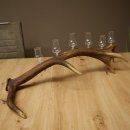 Schnapsanbieter 6 x kleine Gläser Steckglas mit...