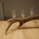 Schnapsanbieter 6 x kleine Gläser Steckglas mit Stiel auf Rothirschstange Geschenk 27.60.2.92