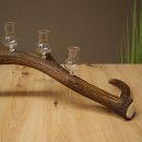 Schnapsanbieter 6 x kleine Gläser Steckglas mit Stiel auf Rothirschstange Geschenk 27.60.2.92