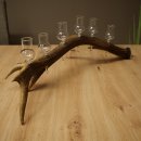 Schnapsanbieter 6 x kleine Gläser Steckglas mit Stiel auf Rothirschstange Geschenk 27.60.2.92
