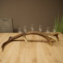 Schnapsanbieter 6 x kleine Gläser Steckglas mit Stiel auf Rothirschstange Geschenk 27.60.2.92