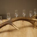 Schnapsanbieter 6 x kleine Gläser Steckglas mit Stiel auf Rothirschstange Geschenk 27.60.2.92