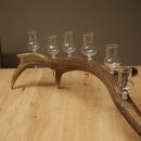 Schnapsanbieter 6 x kleine Gläser Steckglas mit Stiel auf Rothirschstange Geschenk 27.60.2.92